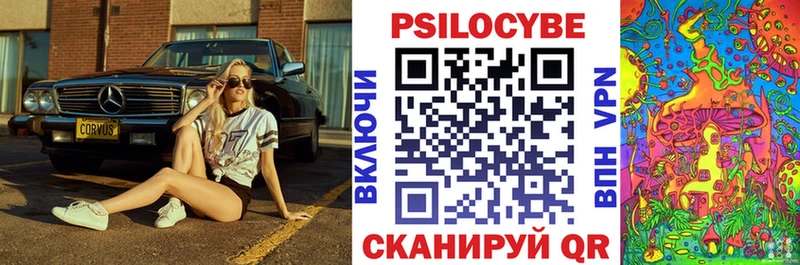 магазин Хасавюрт Псилоцибиновые грибы ЛСД